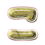 010