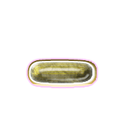 161