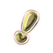 225