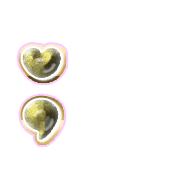 243