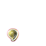 245