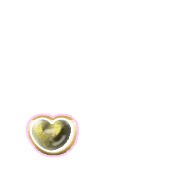 246
