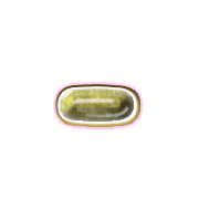 251