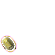 256