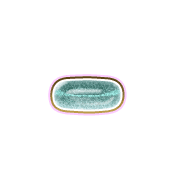 251