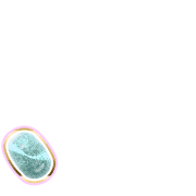 256