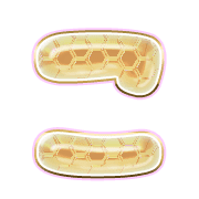 010