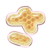 011