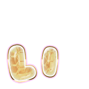 048