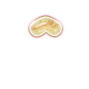 231