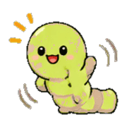 005