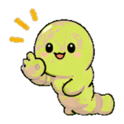 006