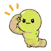 013