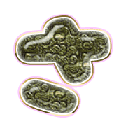 011