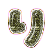 040