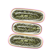 112