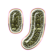 120