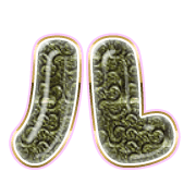 121