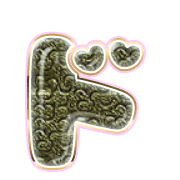 150