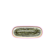 161