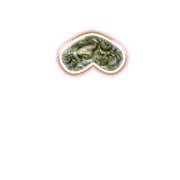 231