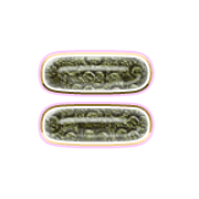 239