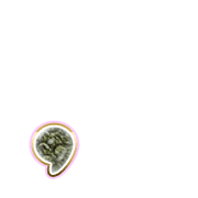 245