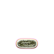 250