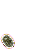 256
