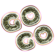 280