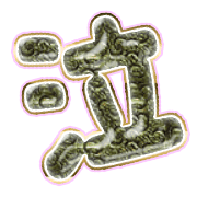 302