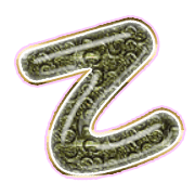 305