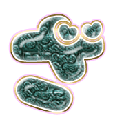 061