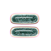 239
