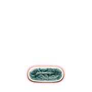 250