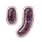 120
