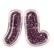 121