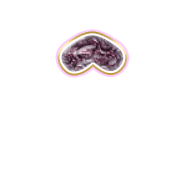 231