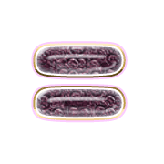 239
