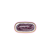 251
