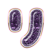 120