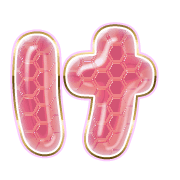 009