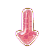 261