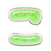 010