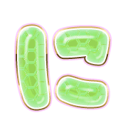 022