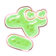 061