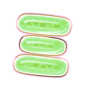112