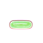 161