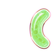 234