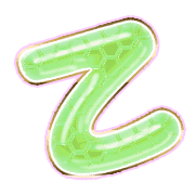 305